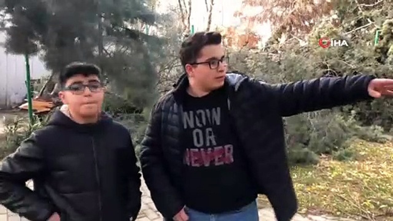 Lodosta devrilen ağacın altında kaldı