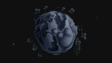 What does Kaiba revolve around and intrinsically mean?  An analysis and review