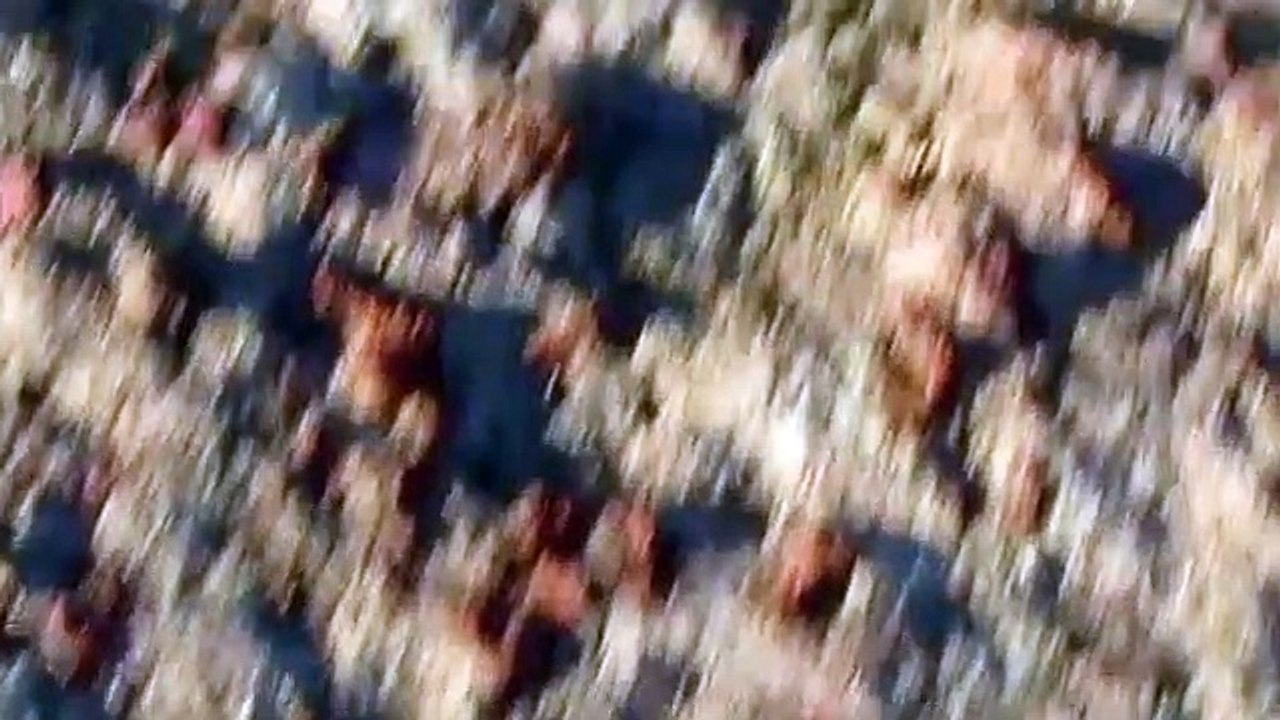 todos carregamos alguma morte