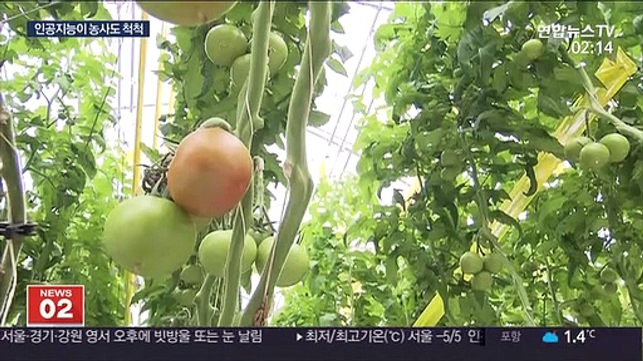 AI가 농사짓는 시대…농가 소득향상 효과 톡톡