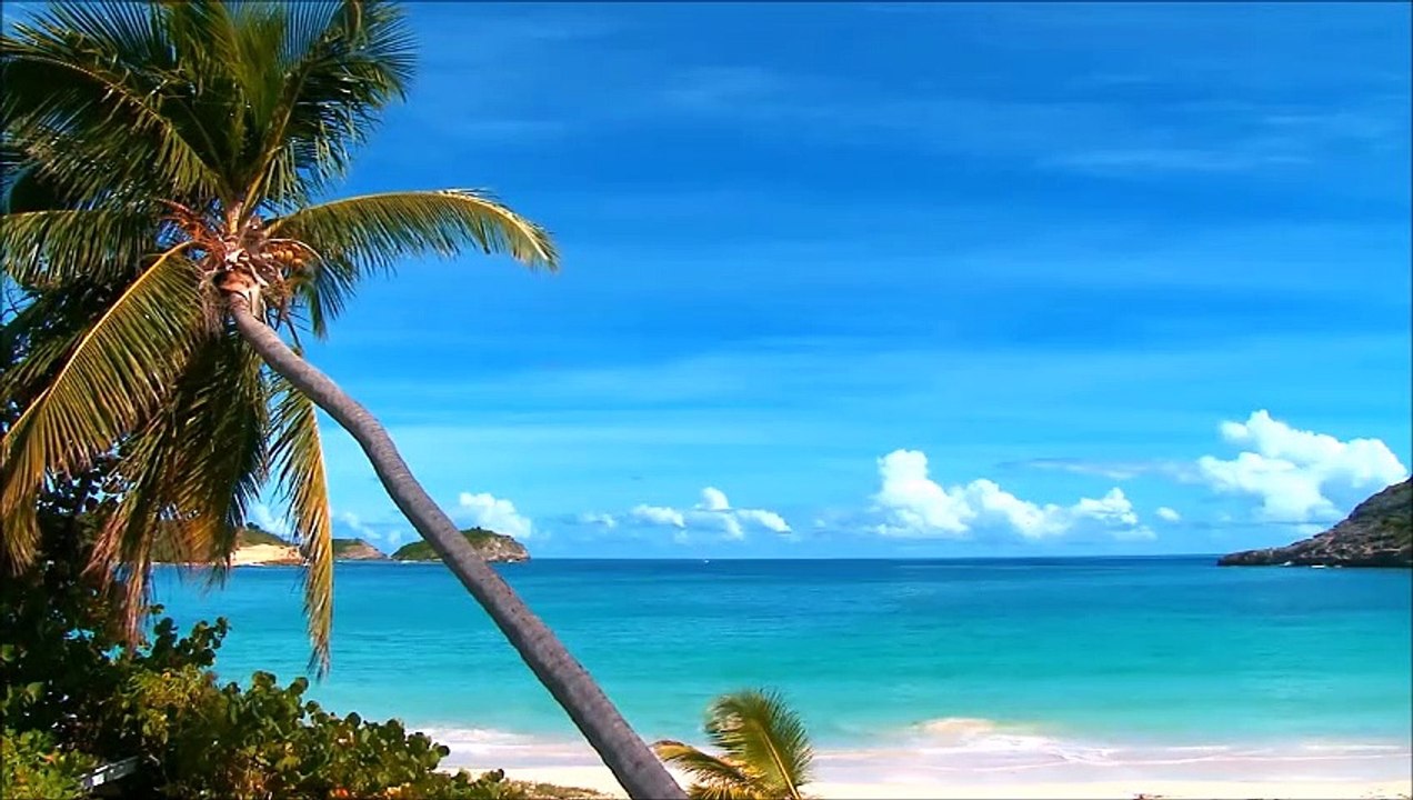 Bahama Part 2
