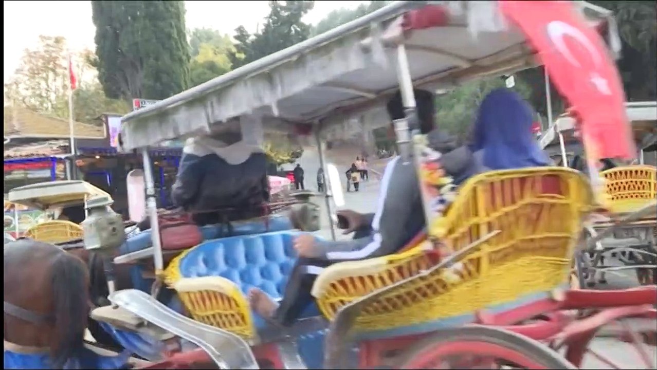 Chevaux maltraités: haro sur les calèches des î...