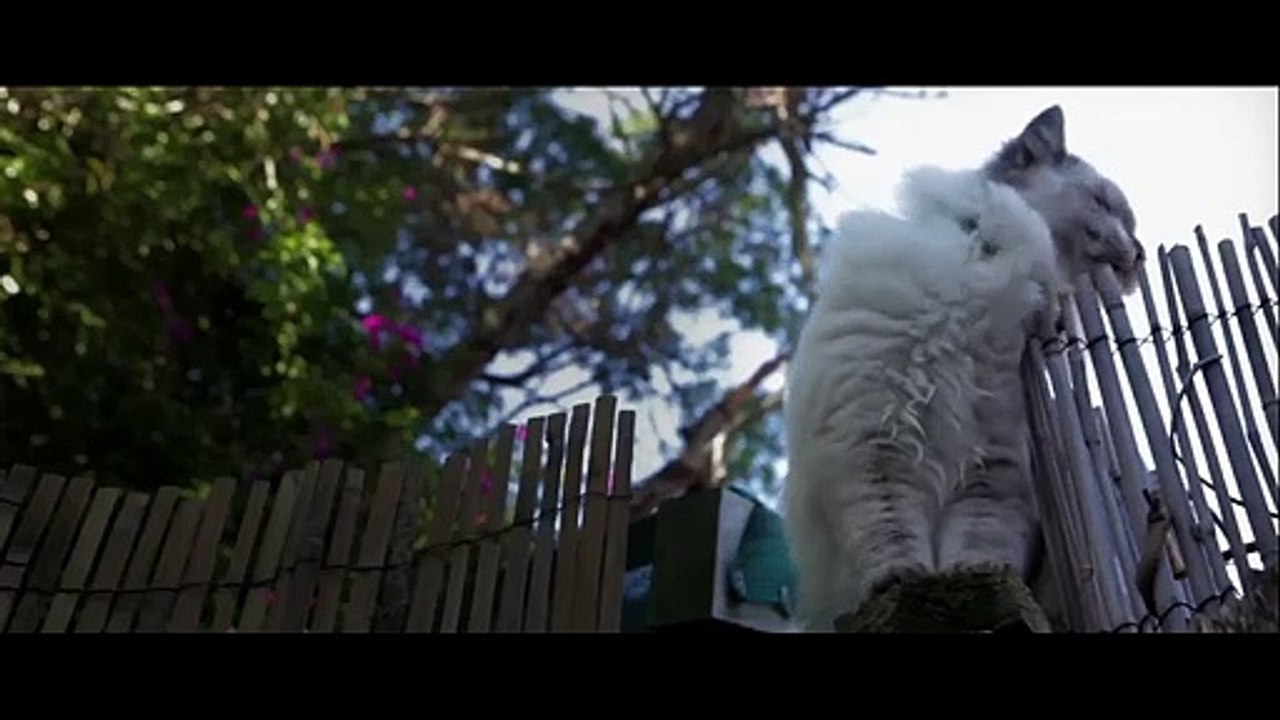 Makeover | Second Place of Tropfest Australia 22 2013