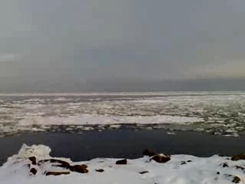 Port de Malbaie Quebec Fevrier 2008