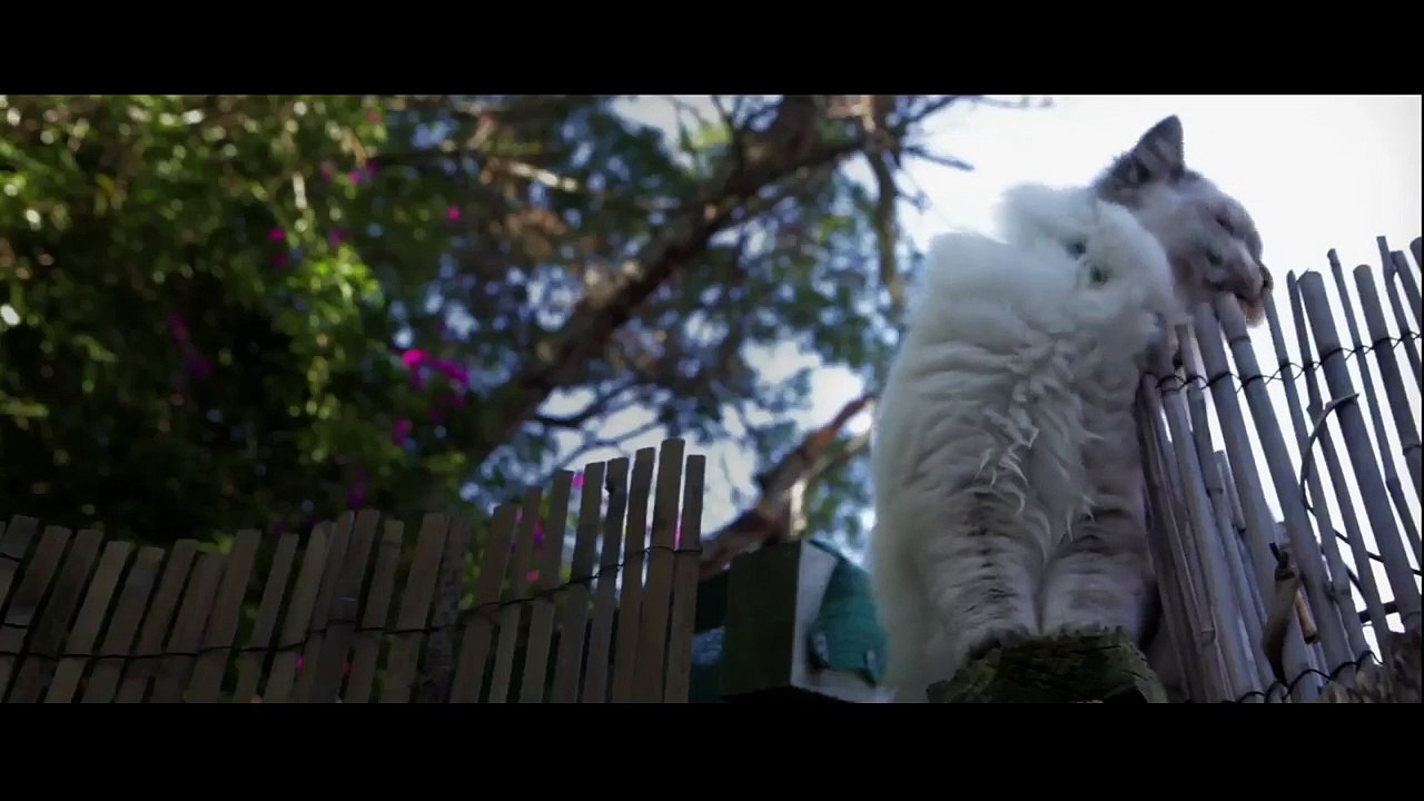 Makeover | Second Place of Tropfest Australia 22 2013