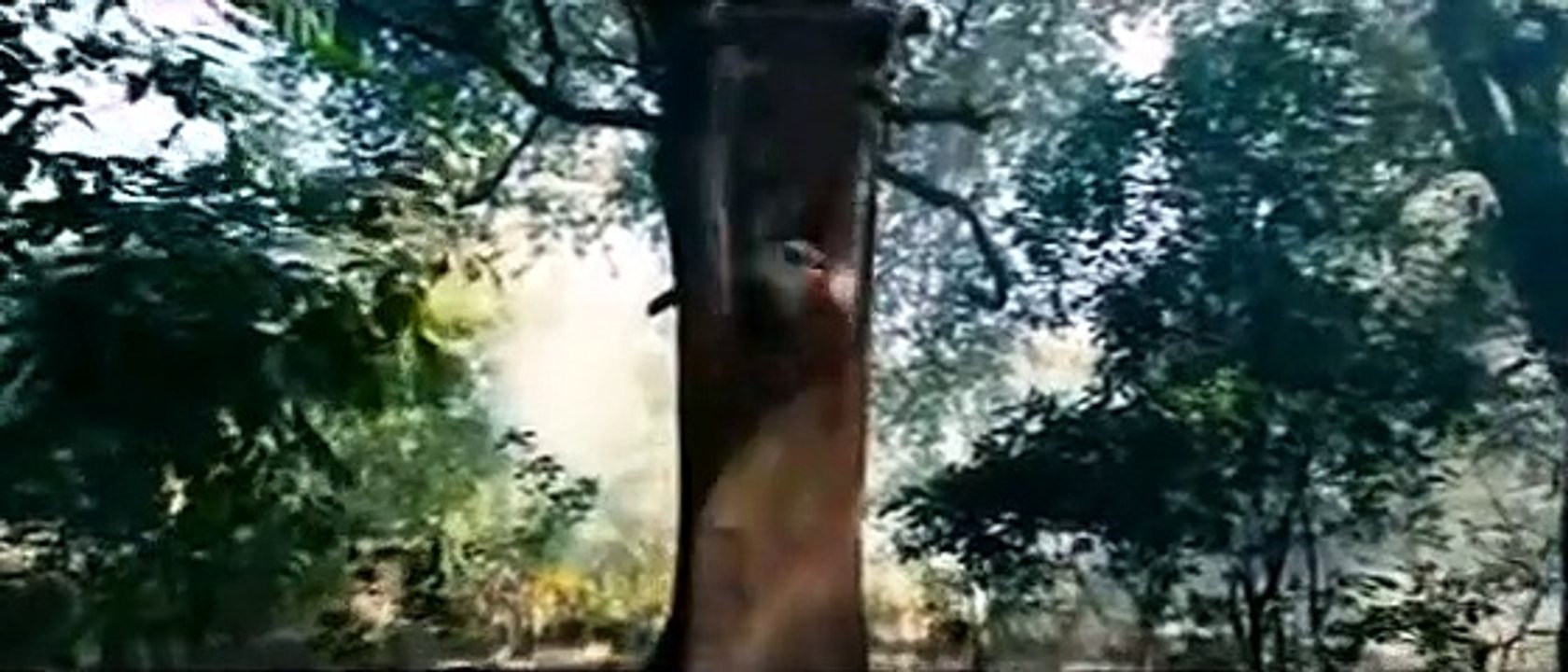 'COMMANDO' (2013) ~ Official Movie "Theatrical"...