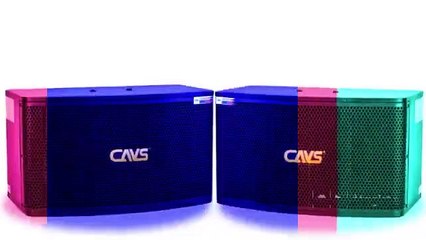 Top các sản phẩm Loa Karaoke chọn lọc tại lạc việt audio