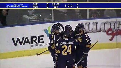 Game Recap - Idaho Steelheads at Norfolk Admirals