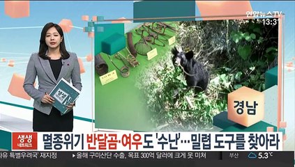 멸종위기 반달곰·여우 '수난'…밀렵 도구를 찾아라