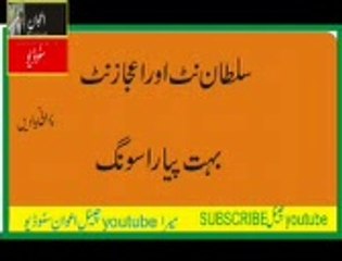 sultan nutt and ishq nutt