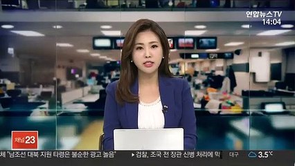 北매체 "南 대북인도지원 타령은 불순한 광고놀음"