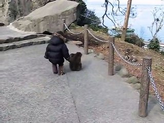 child playing with a monkey