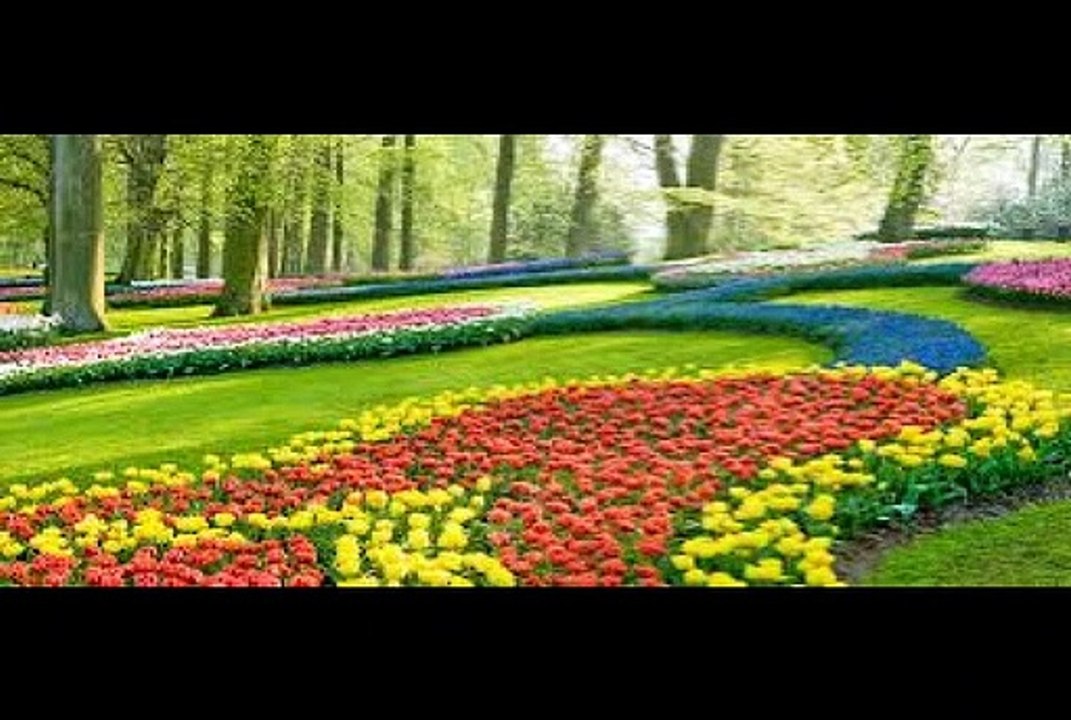 もう少しの居眠りを (Cover) 大塚博堂（作詞：るい 作曲：大塚博堂) 私撰・和シャンソン/ by Sima