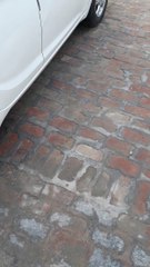 How to Check Your Cat's Chessis Number