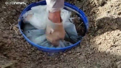 Diyarbakır'ın Lice ilçesinde 'Kıran-11 Narko-Terör Operasyonu' başlatıldı