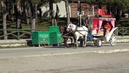 Bolu abant'a gelen ziyaretçiler, ruam hastalığı şüphesi sonrası atlara iyi bakım istedi
