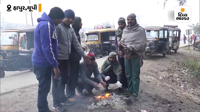 દિલ્હી સહિત સમગ્ર ઉત્તર ભારત ગાઢ ધુમ્મસની ચપેટમાં, 46 ફ્લાઇટ્સ ડાયવર્ટ, 17થી વધુ ટ્રેન રદ