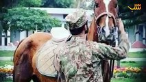 A Very Special Holy Prophet Horse Of Pakistan Army