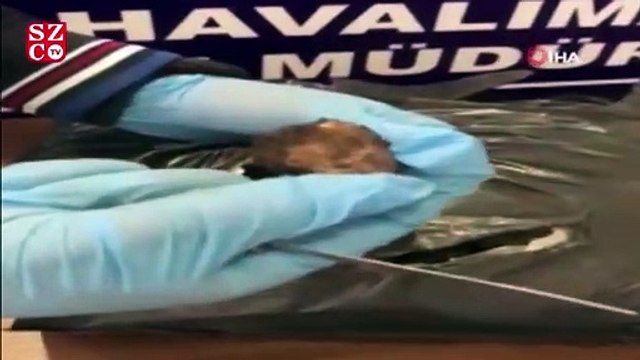 Polis şüphelendi, çantalarını aradı! Bakın içlerinden ne çıktı