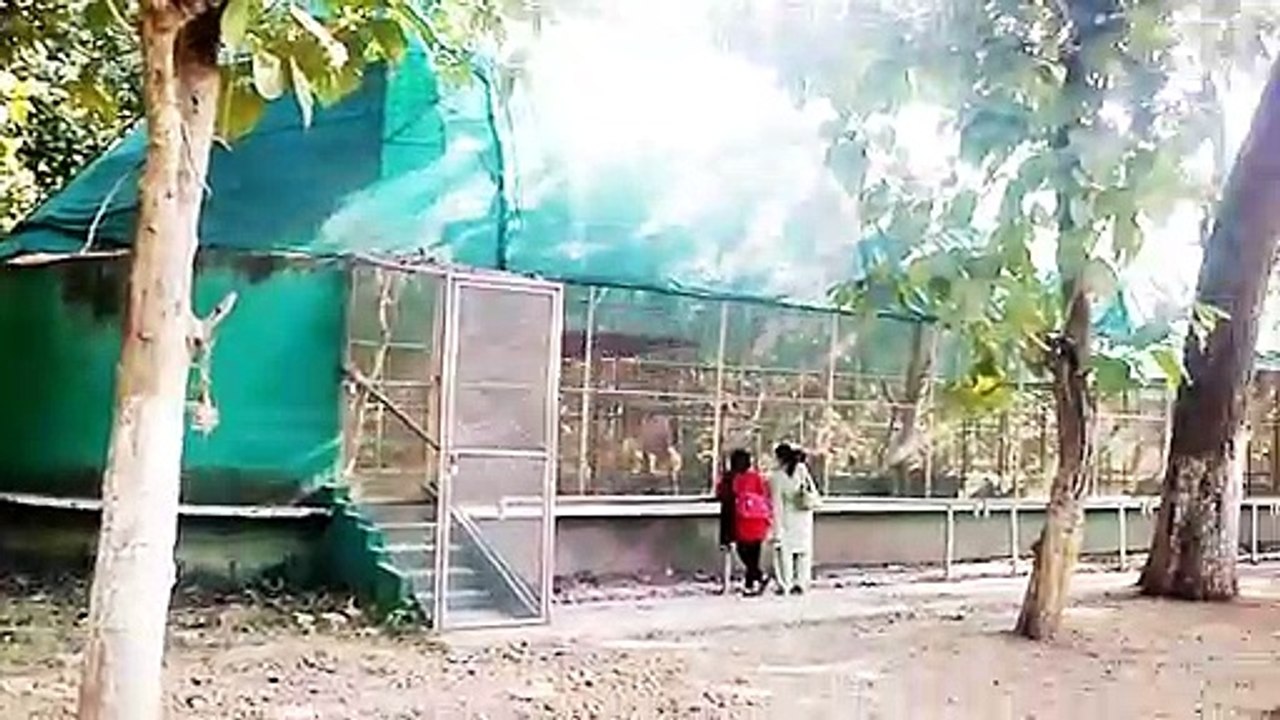 adina deer forest park malda west bangal piknic spot . আদিনা ডিয়ার ফোরেস্ট পার্ক মালদা ।