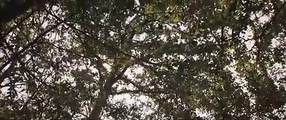 PROXiMITY (A Short Film by Ryan Connolly)