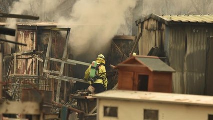 'Catastrophic' conditions as bushfires intensify in Australia