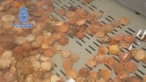 La Policía inmoviliza más de 25 toneladas de almejas ilegales
