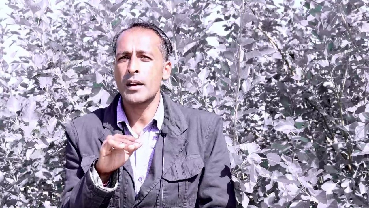 earn money online || work from home || how to earn money to facebook