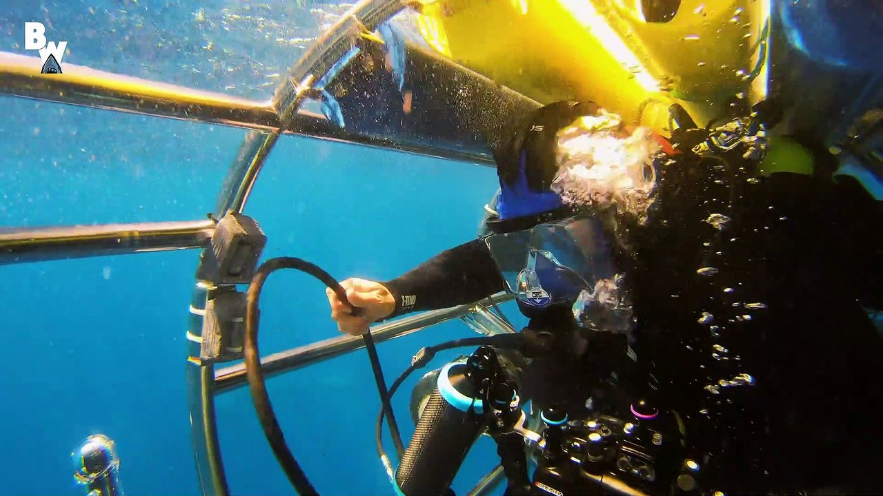 Shark Cage Submarine vs. Great White!