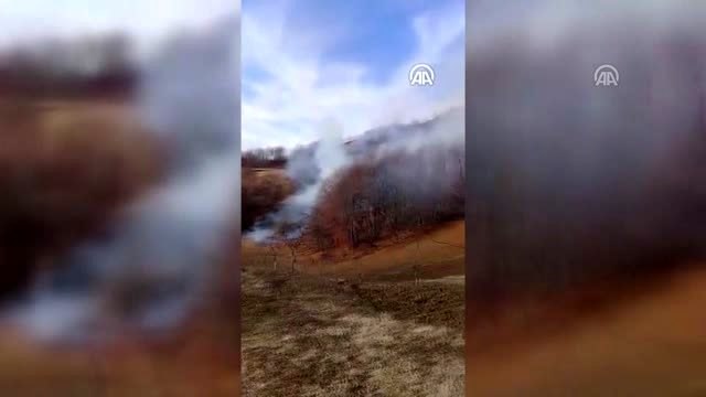 Orman yangınında 5 hektarlık alan zarar gördü