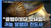 [청년농부] 귀농 달팽이 전도사...