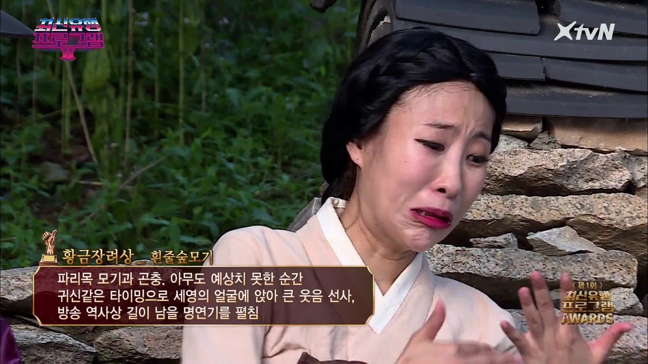 황금 장려상 최초 곤충 수상!! 이세영 얼굴 위 흰 줄 숲모기