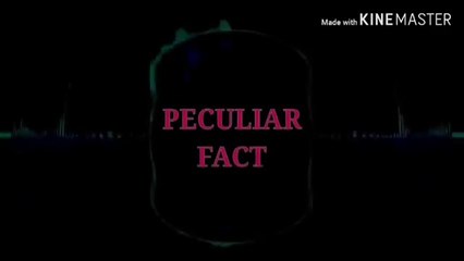 Top 10 Facts About Human Body/10 तथ्य इंसानी शरीर के बारे में।