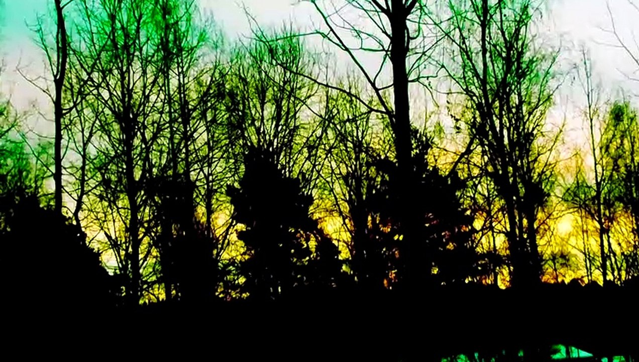 Dec 3 2019 DL2