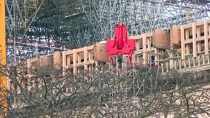 Notre-Dame sem natal