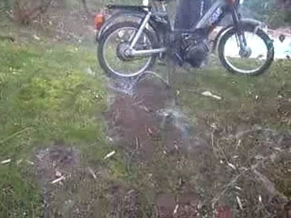 comment se débarrasser des taupes de maniere ecologique...
