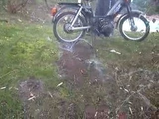 comment se débarrasser des taupes de maniere ecologique...