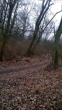 Ces cyclistes se font couper la route par quelque chose d'incroyable