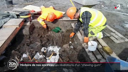Comment un chewing-gum vieux de 5 700 ans a permis de reconstituer le visage d'une jeune chasseuse-cueilleuse