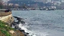 Marmara Denizi'nde lodos ulaşıma engel oluyor - TEKİRDAĞ