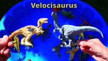 Dinosaurs for kids, Dinosaurs Find Baby Mom, Jurassic World Dinosaur Educational Video
