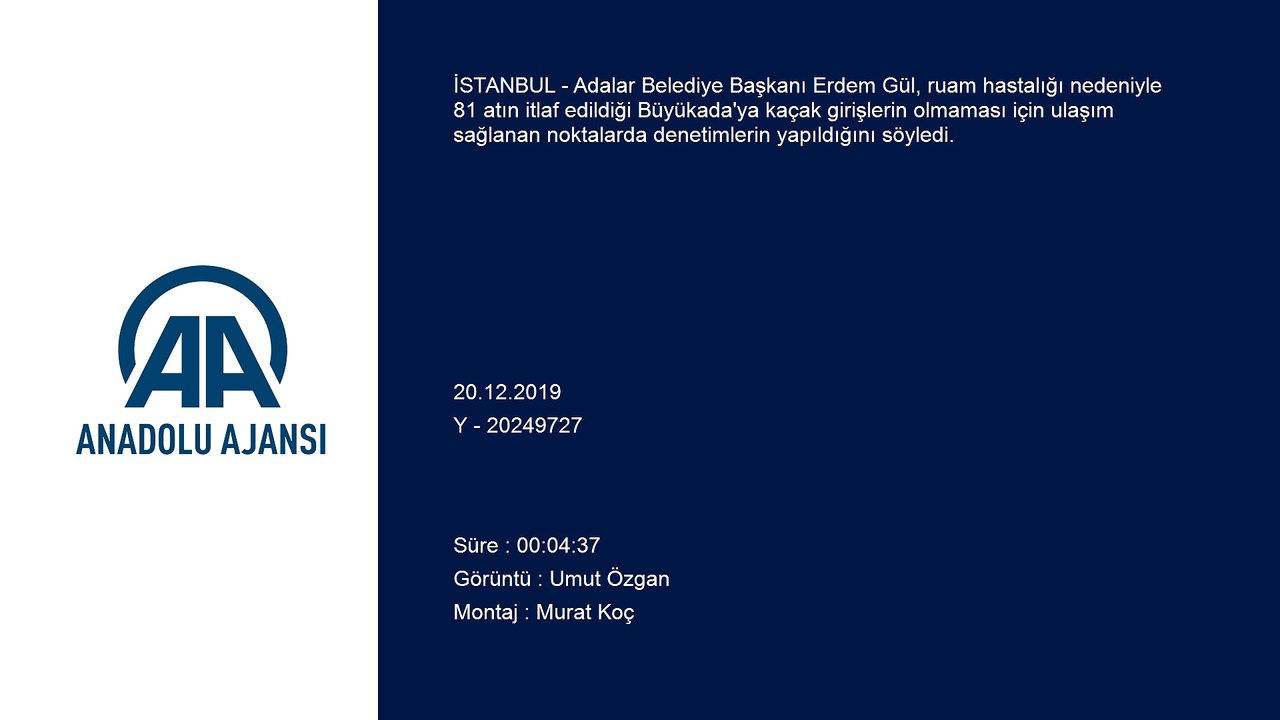 Adalar'da ruam hastalığına yakalanan atların itlaf edilmesi - İSTANBUL