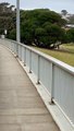 Huge Kangaroo Hops Past Pedestrians on Bridge