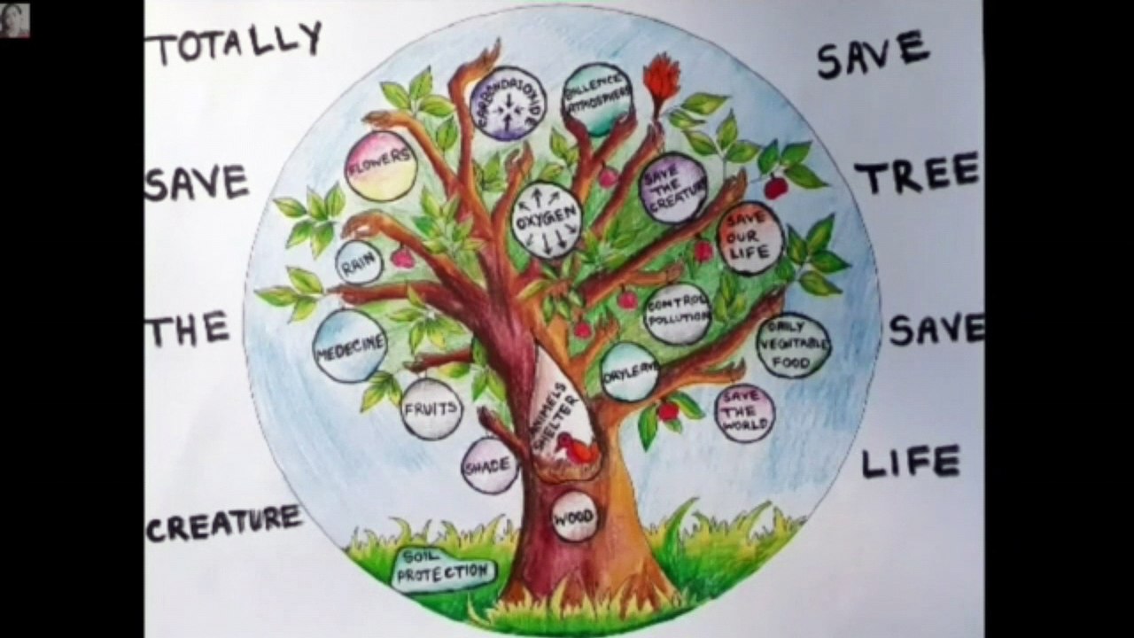 Trees are our best friends. Save tree save life. Painting by  pencils colours.