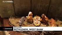 شاهد: عمل فني جديد لبانكسي في بيت لحم بمناسبة أعياد الميلاد