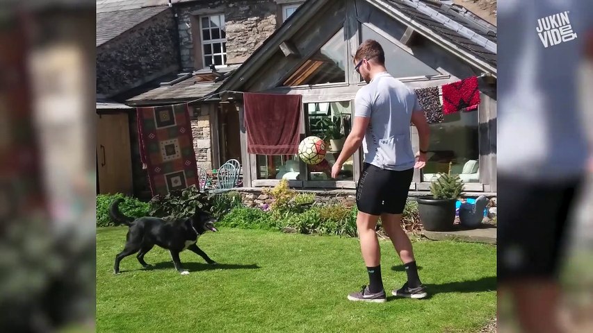 Top 100 Viral Videos of the Year 2019