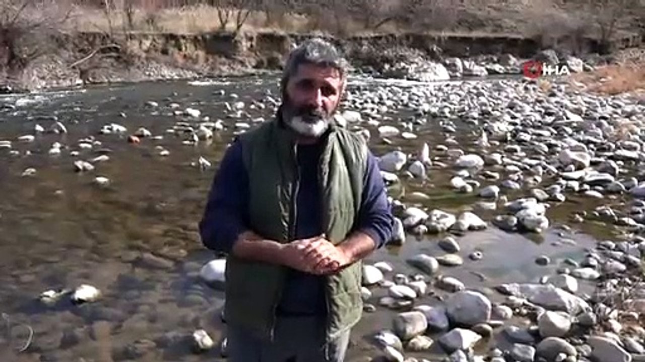 Pülümür çayına kaçak balıkçıların verdiği elekt...