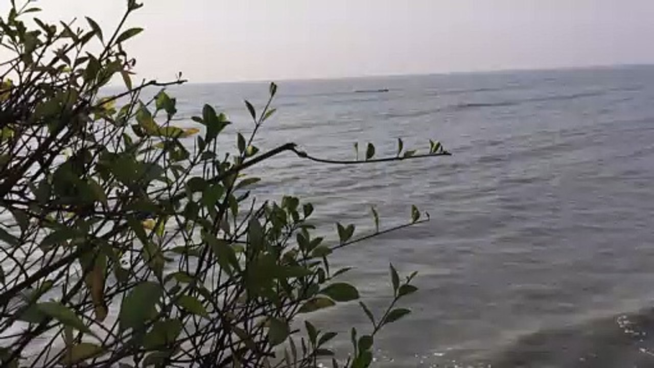 A seashore view From Guinea Conakry