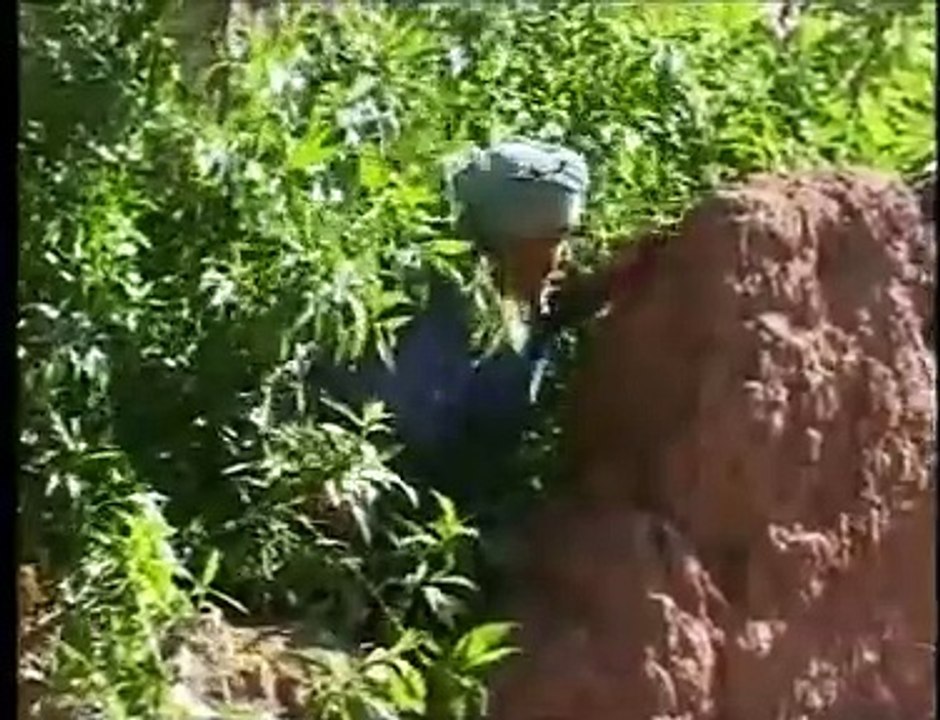 Film Tachlhit Omar Ba3la Partie 01.