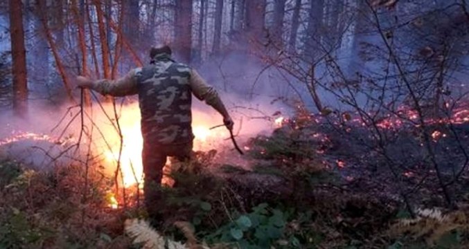 Uludağ Erikli Yaylası'nda orman yangını çıktı